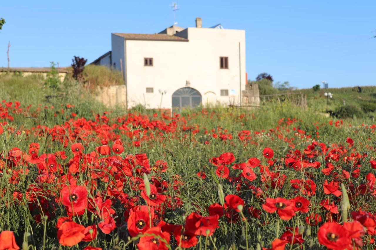 Masseria Moschella Posta Piana